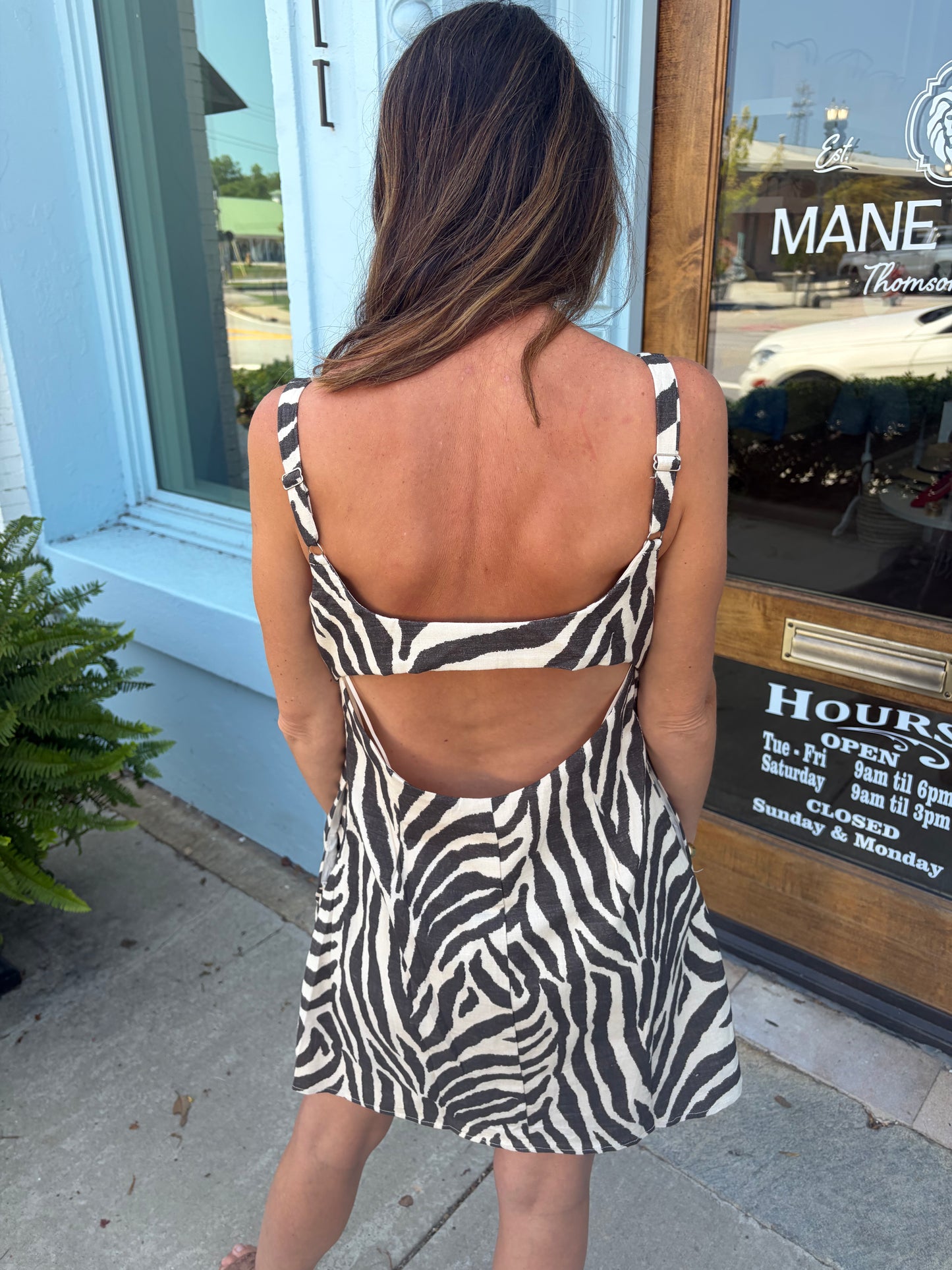 Wild Stripe Mini Dress
