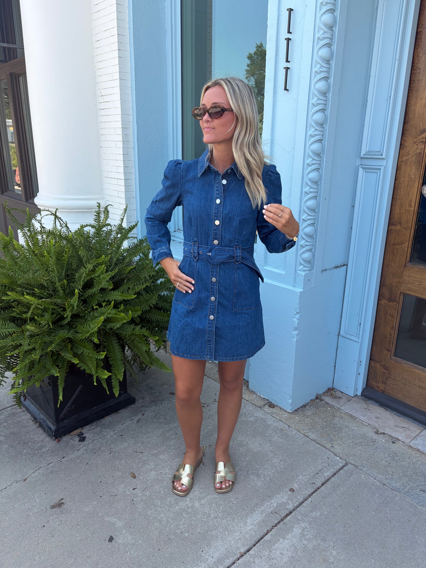 The Liv Denim Dress