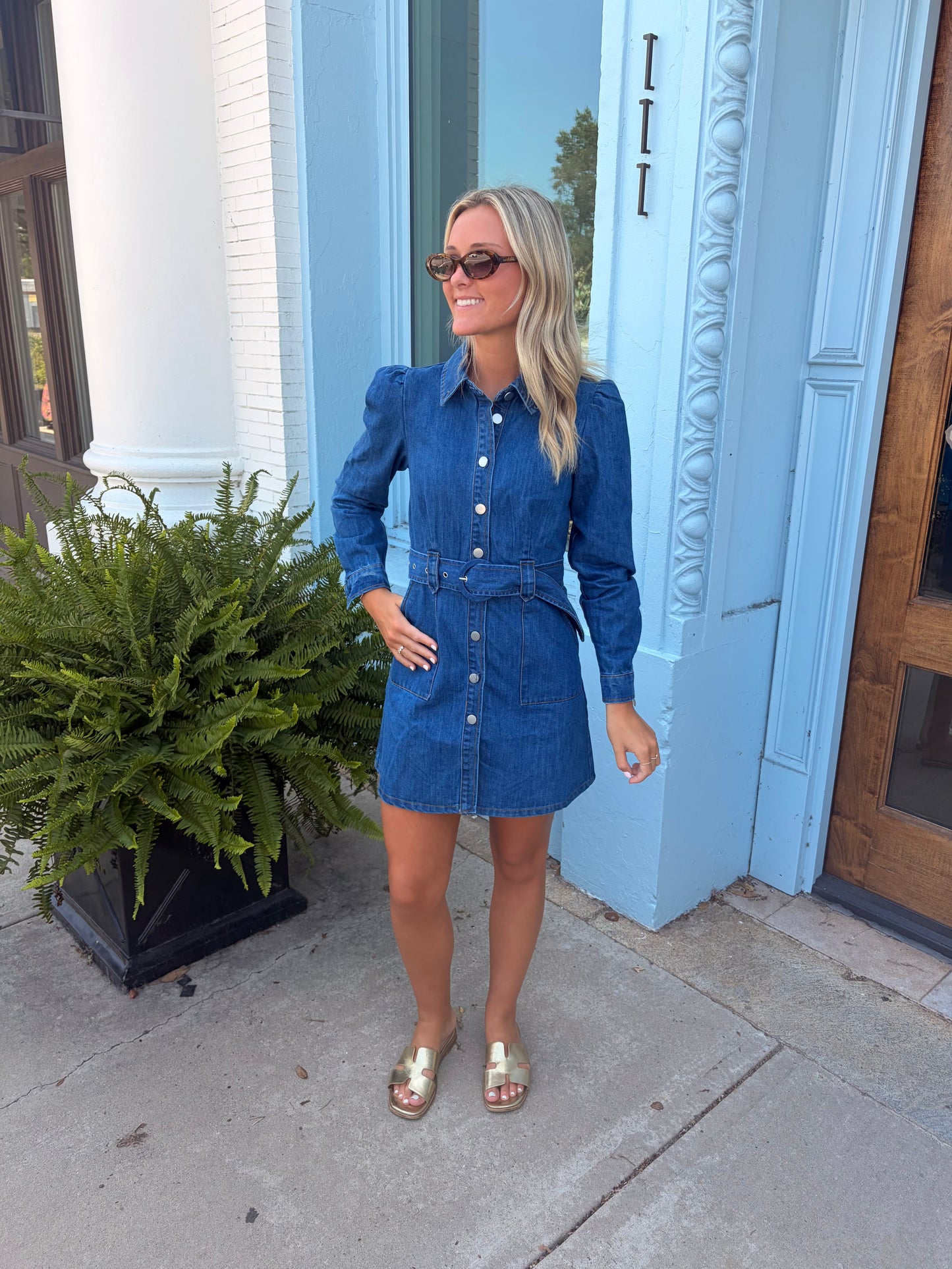 The Liv Denim Dress