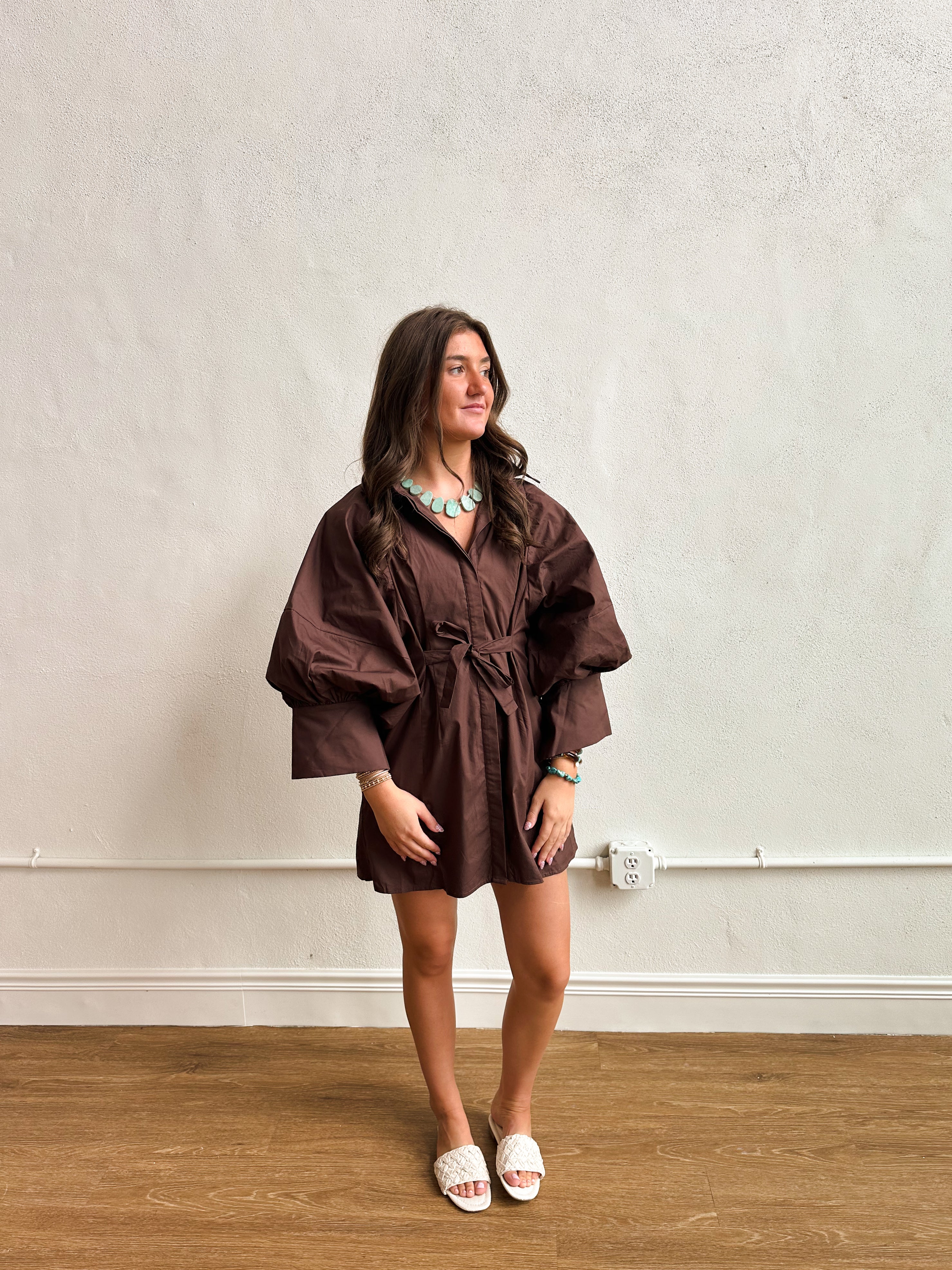 Elle Long Sleeve Shirt Dress - Brown