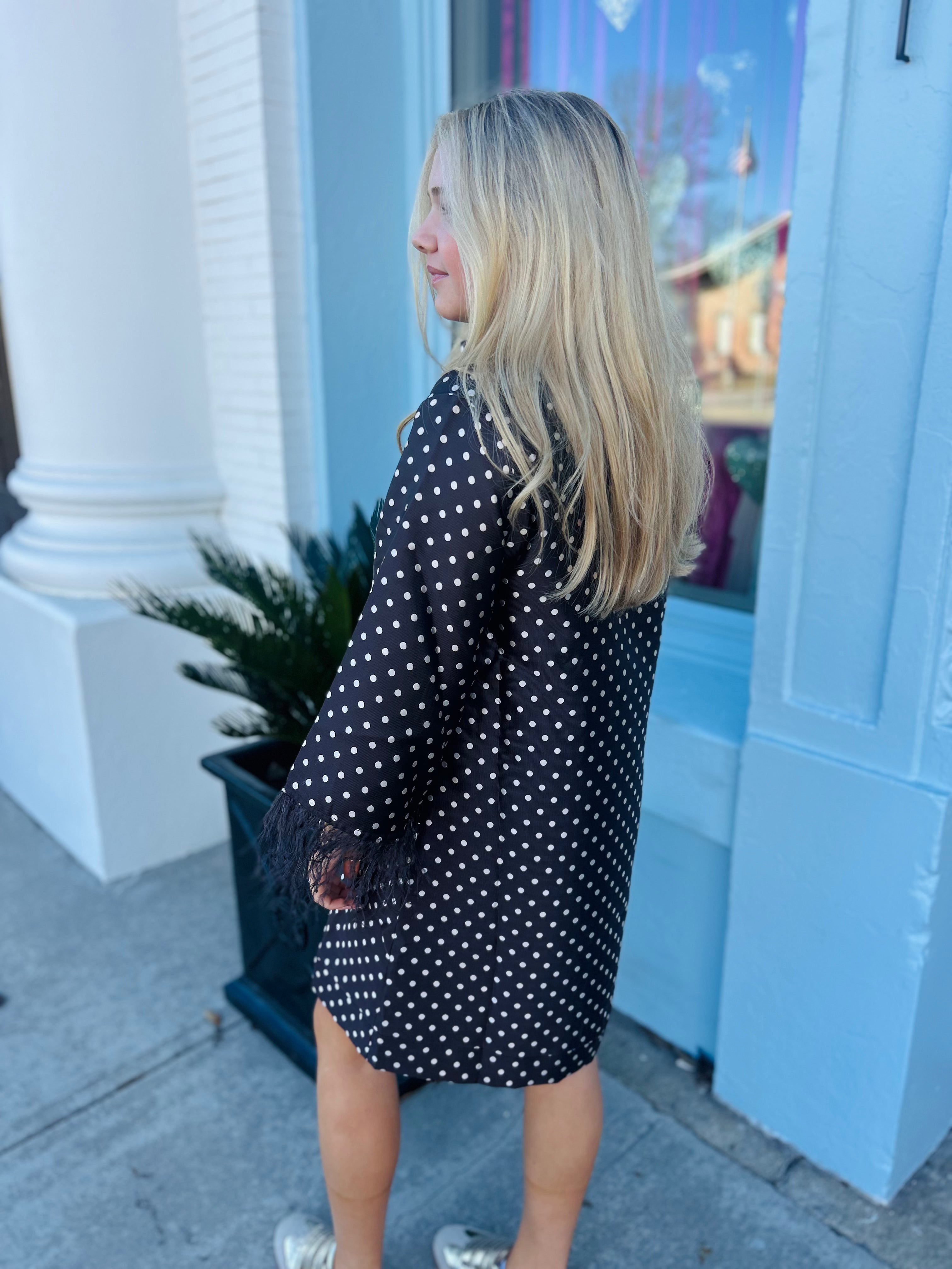 Audrey Polkadot Feather Dress